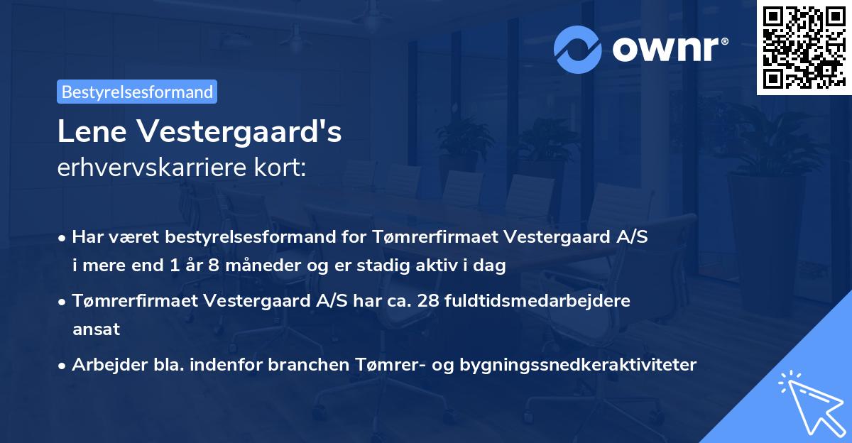 Lene Vestergaard's erhvervskarriere kort