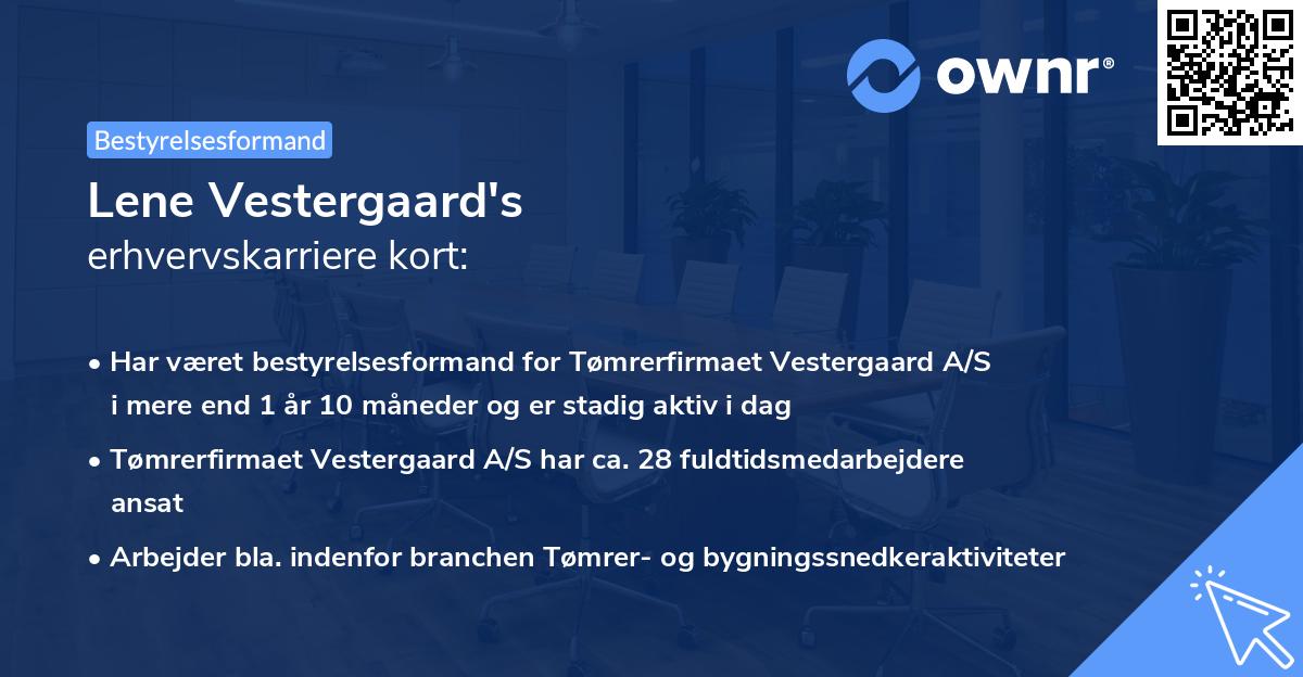 Lene Vestergaard's erhvervskarriere kort