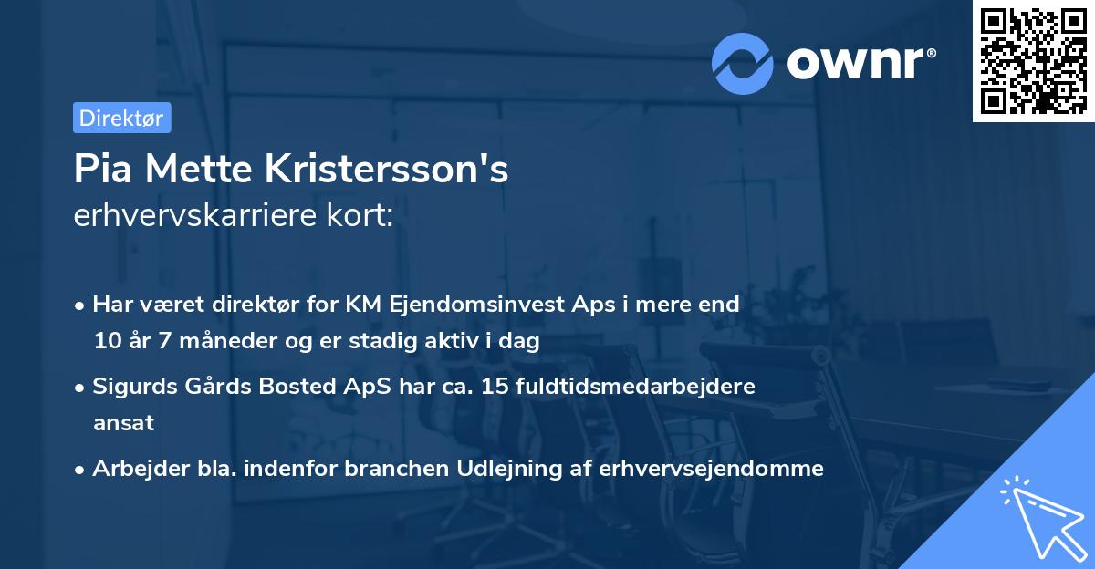 Pia Mette Kristersson's erhvervskarriere kort