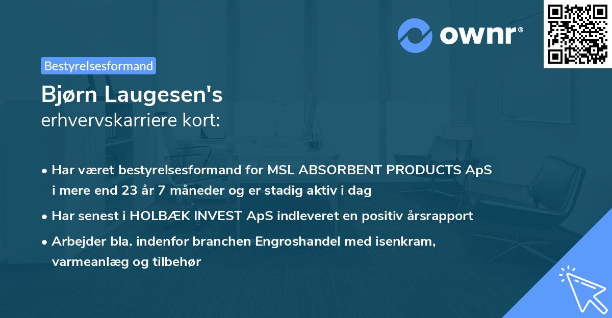 Bjørn Laugesen's erhvervskarriere kort