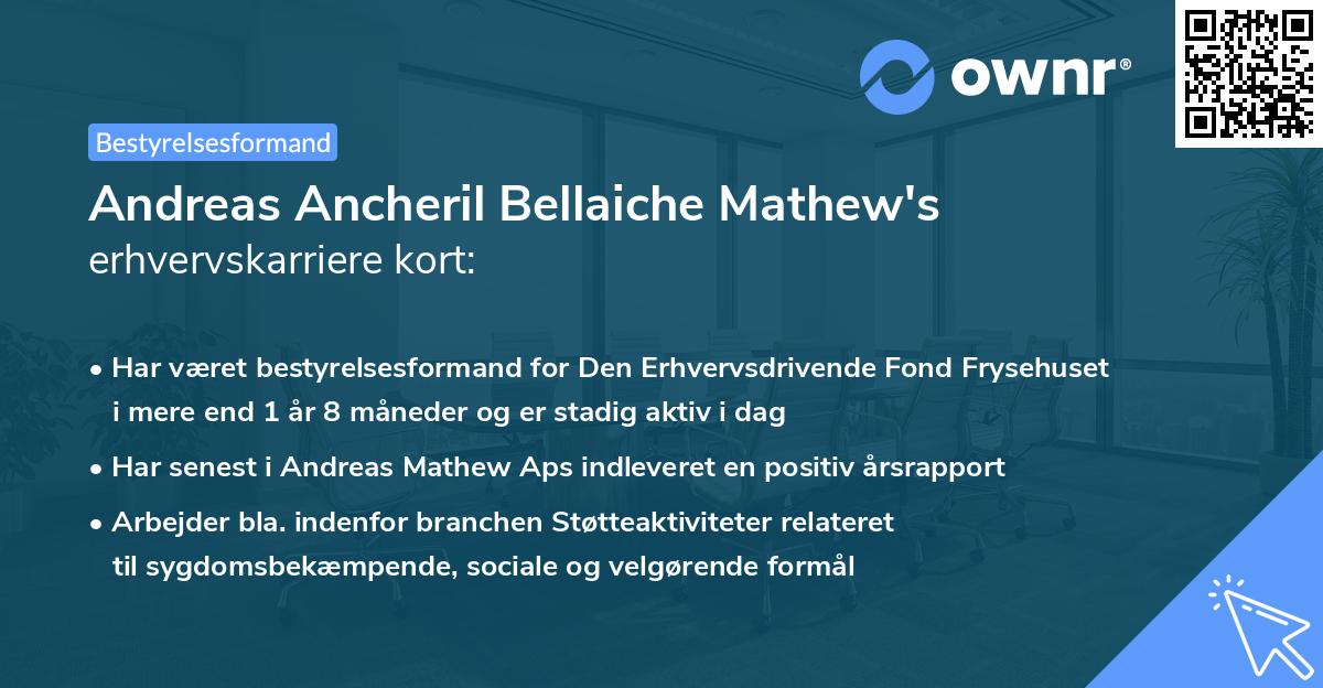 Andreas Ancheril Bellaiche Mathew's erhvervskarriere kort