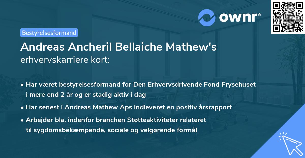 Andreas Ancheril Bellaiche Mathew's erhvervskarriere kort