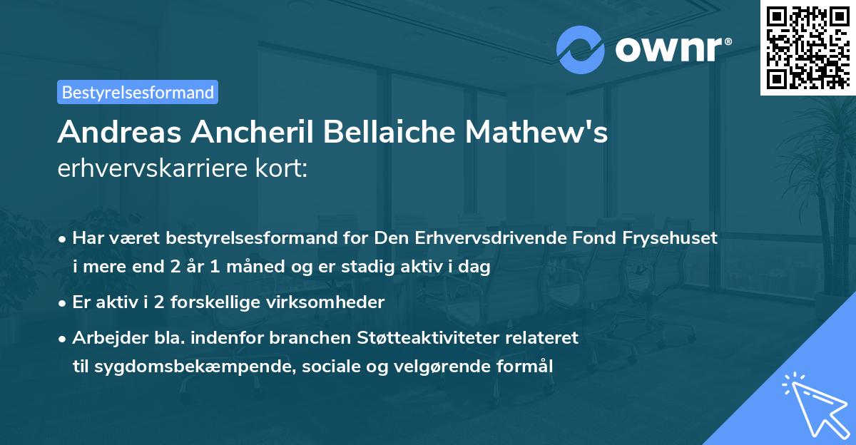 Andreas Ancheril Bellaiche Mathew's erhvervskarriere kort