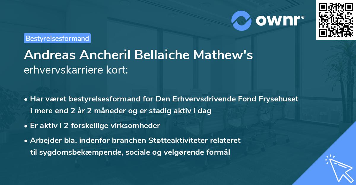 Andreas Ancheril Bellaiche Mathew's erhvervskarriere kort