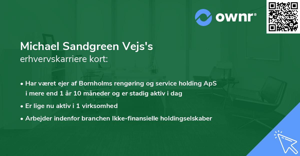 Michael Sandgreen Vejs's erhvervskarriere kort