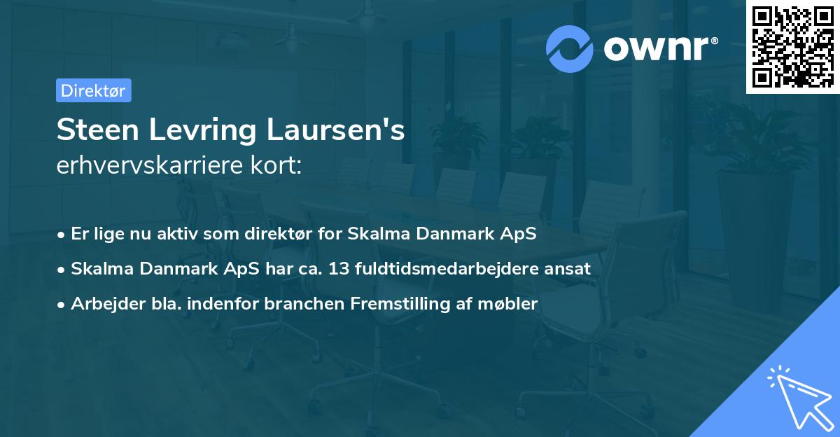 Steen Levring Laursen's erhvervskarriere kort
