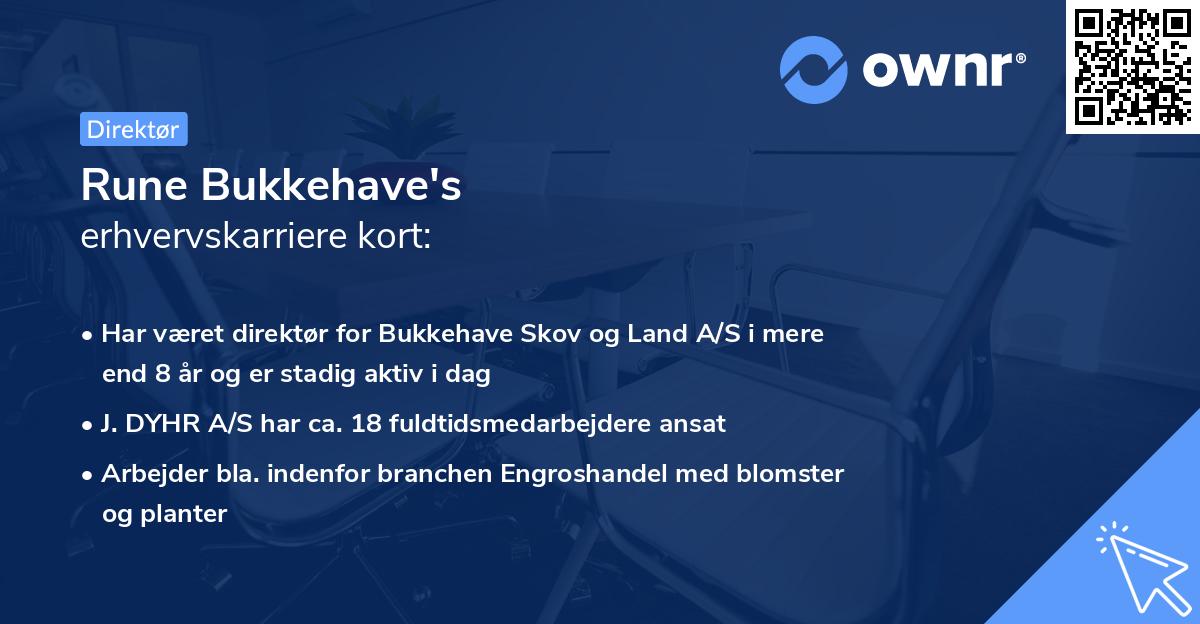 Rune Bukkehave's erhvervskarriere kort