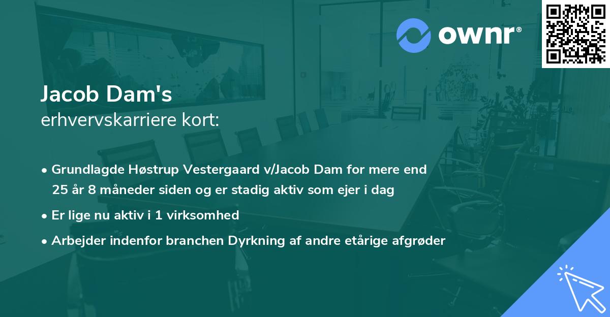 Jacob Dam's erhvervskarriere kort