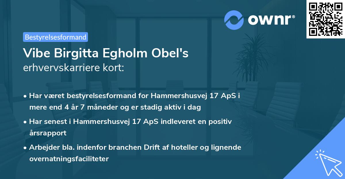 Vibe Birgitta Egholm Obel's erhvervskarriere kort