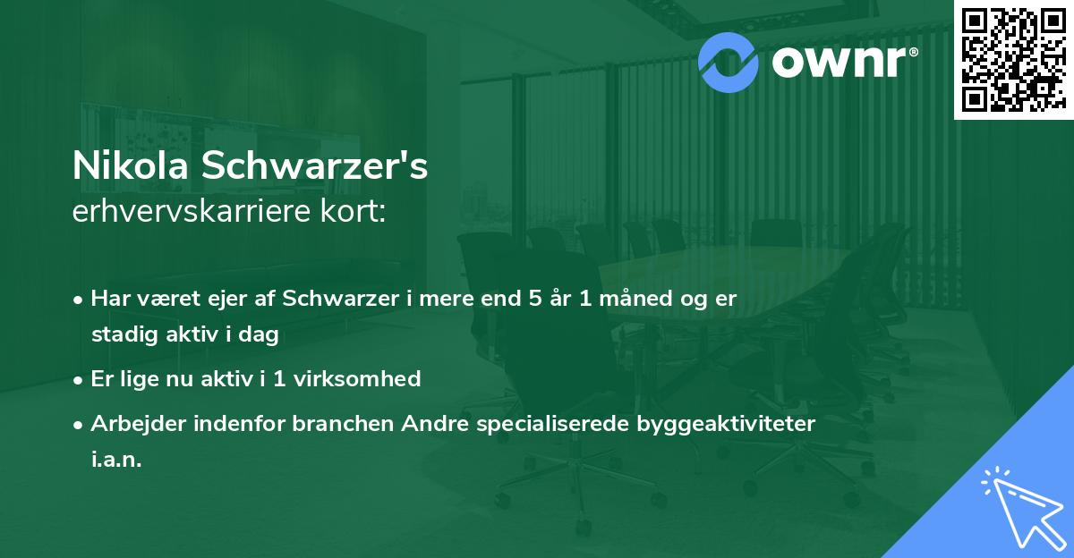Nikola Schwarzer's erhvervskarriere kort