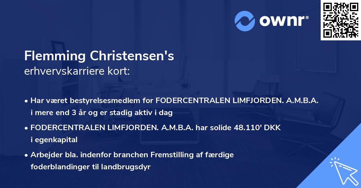 Flemming Christensen's erhvervskarriere kort