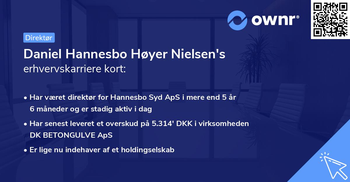 Daniel Hannesbo Høyer Nielsen's erhvervskarriere kort