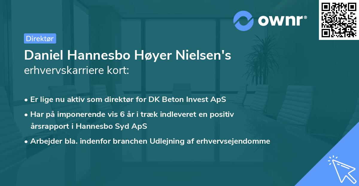 Daniel Hannesbo Høyer Nielsen's erhvervskarriere kort