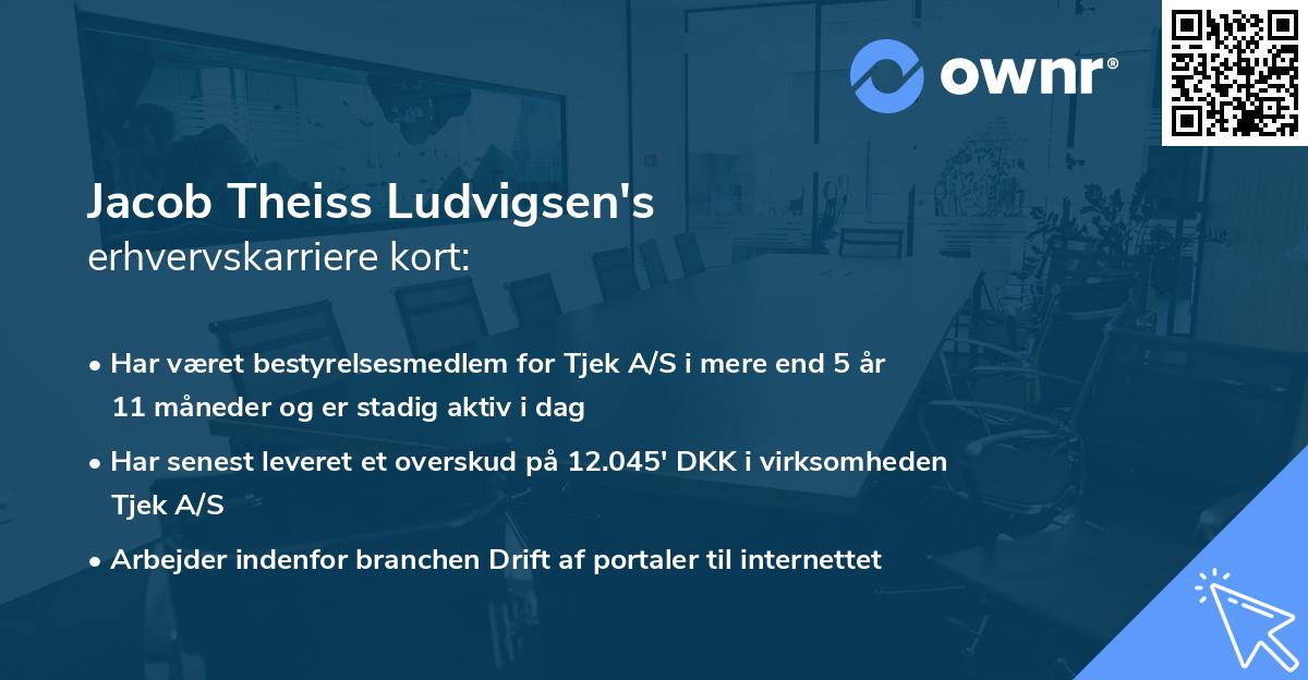 Jacob Theiss Ludvigsen's erhvervskarriere kort
