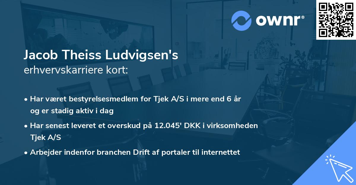 Jacob Theiss Ludvigsen's erhvervskarriere kort
