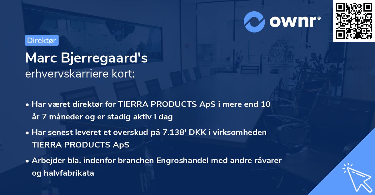 Marc Bjerregaard's erhvervskarriere kort