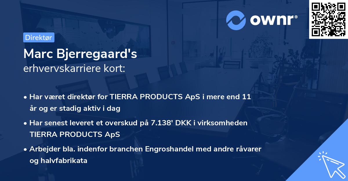 Marc Bjerregaard's erhvervskarriere kort