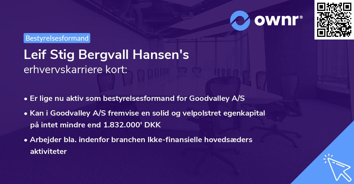 Leif Stig Bergvall Hansen's erhvervskarriere kort