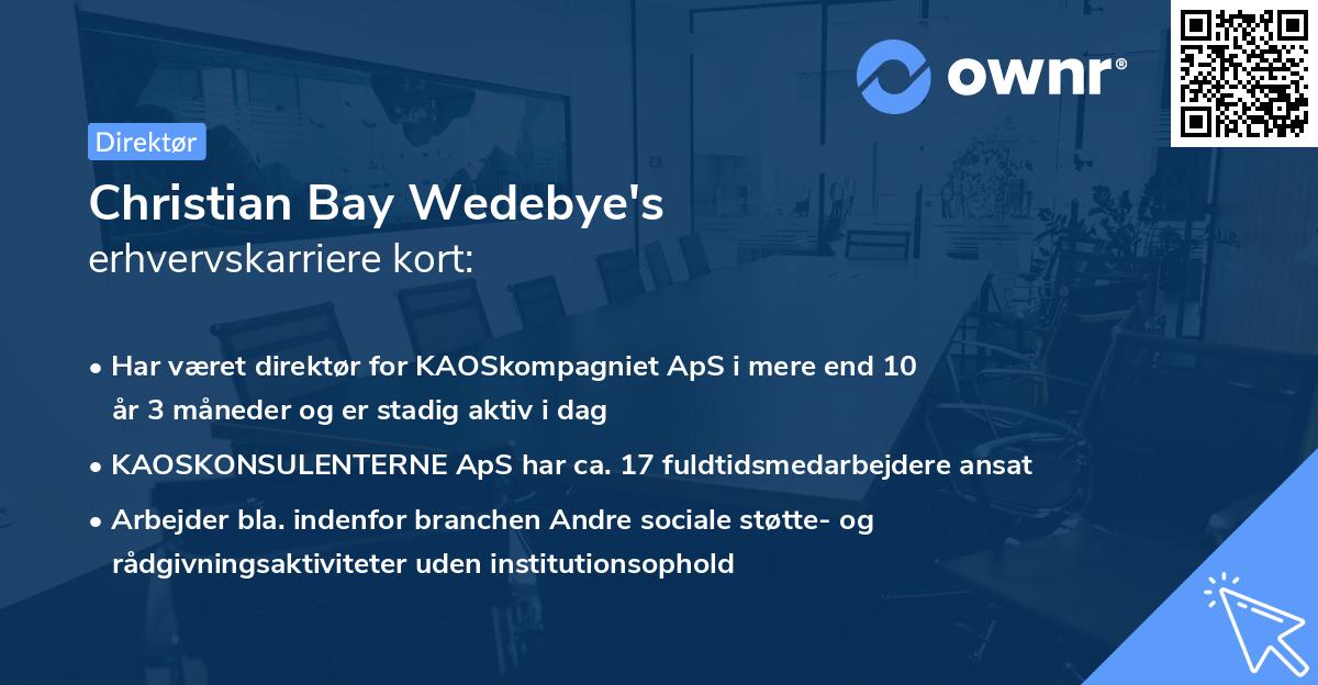 Christian Bay Wedebye's erhvervskarriere kort