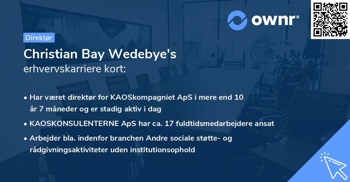 Christian Bay Wedebye's erhvervskarriere kort