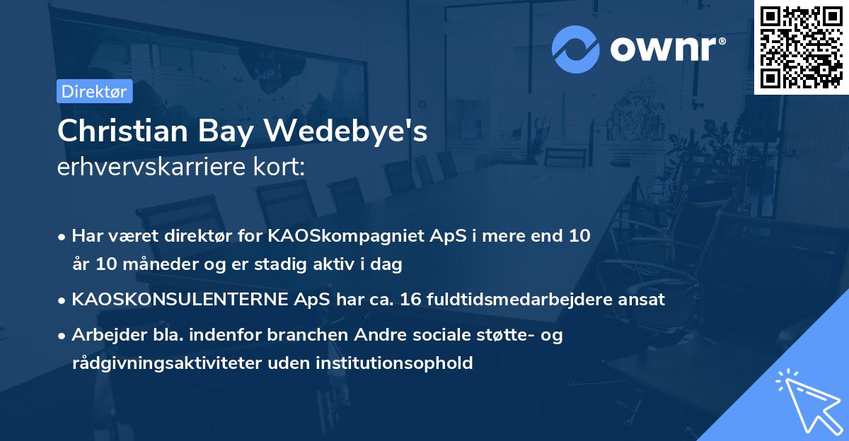 Christian Bay Wedebye's erhvervskarriere kort