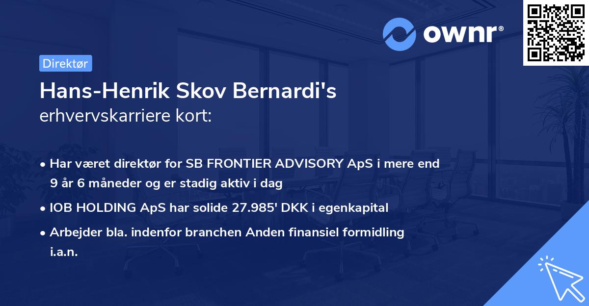 Hans-Henrik Skov Bernardi's erhvervskarriere kort