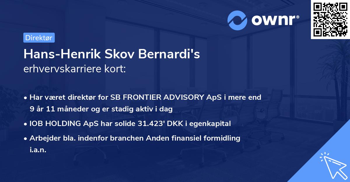 Hans-Henrik Skov Bernardi's erhvervskarriere kort