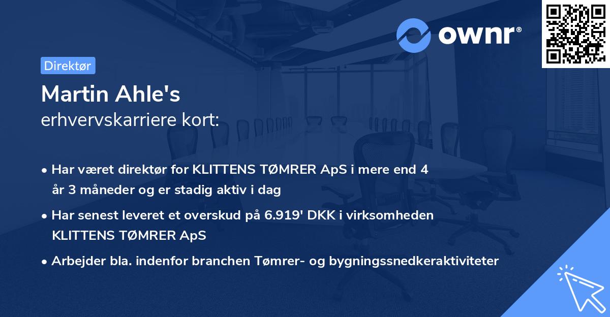 Martin Ahle's erhvervskarriere kort