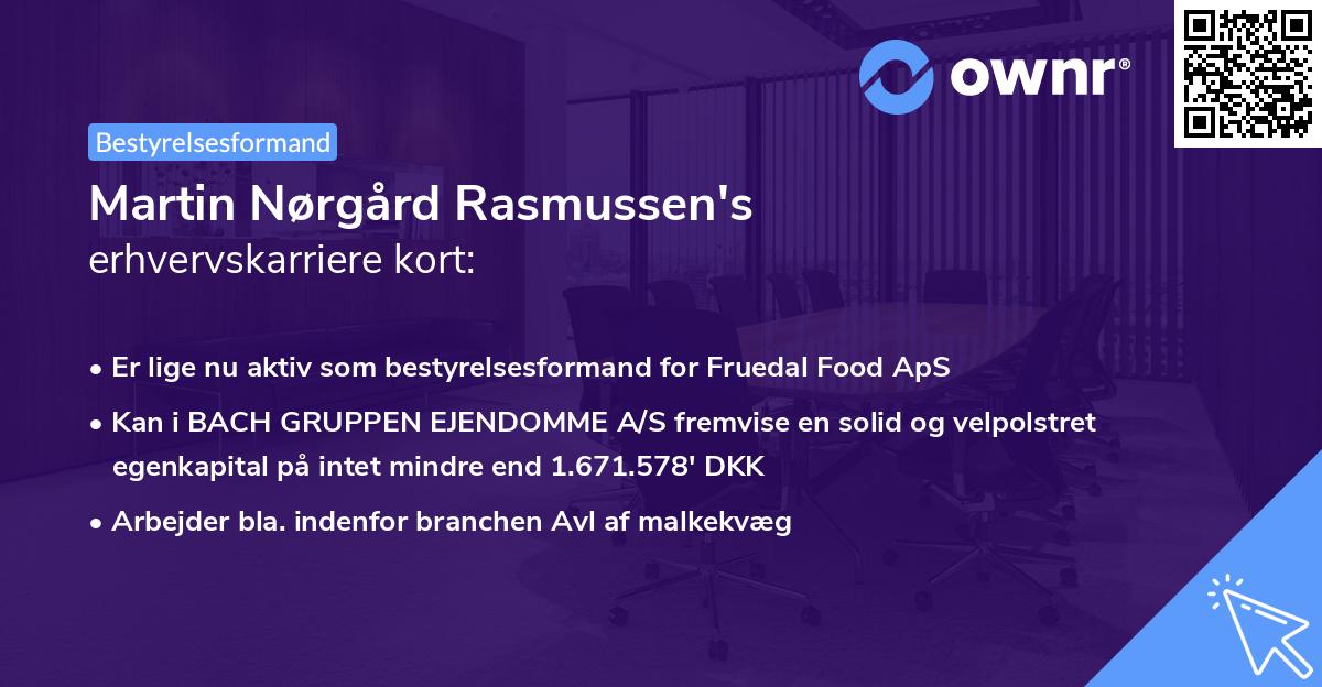 Martin Nørgård Rasmussen's erhvervskarriere kort
