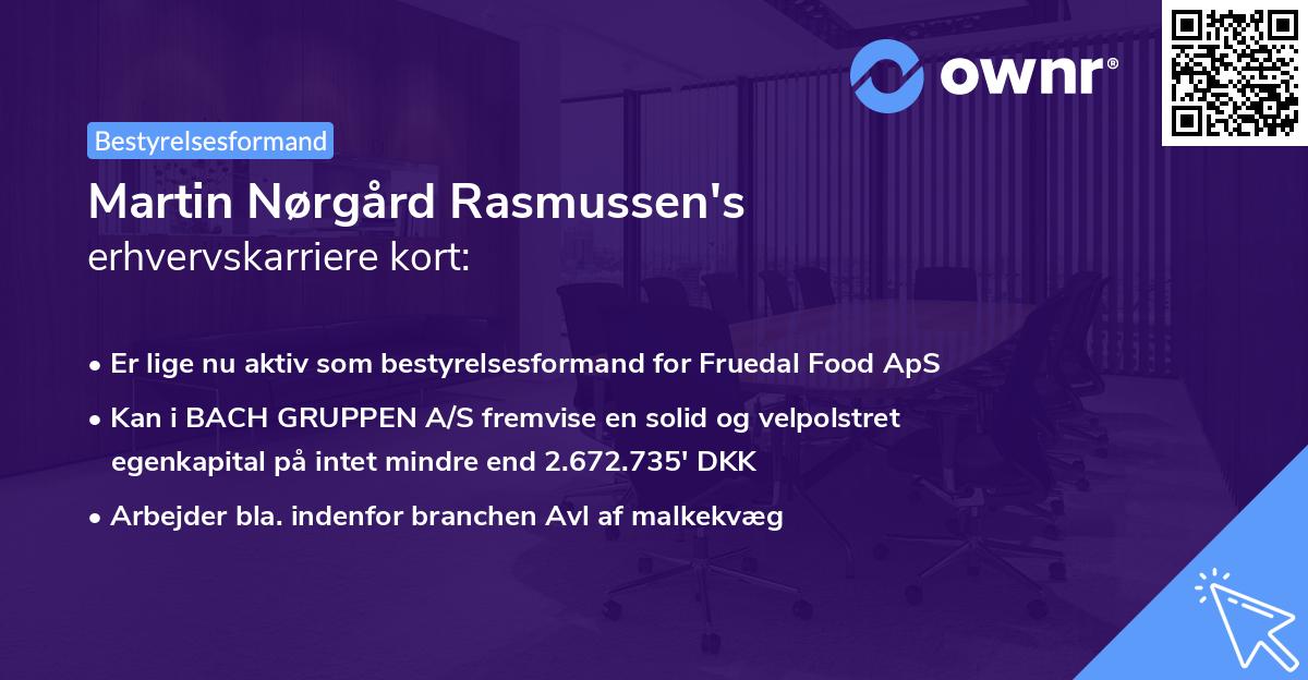 Martin Nørgård Rasmussen's erhvervskarriere kort