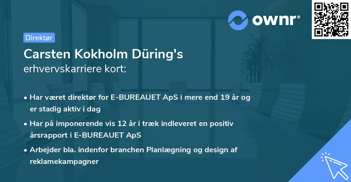 Carsten Kokholm Düring's erhvervskarriere kort