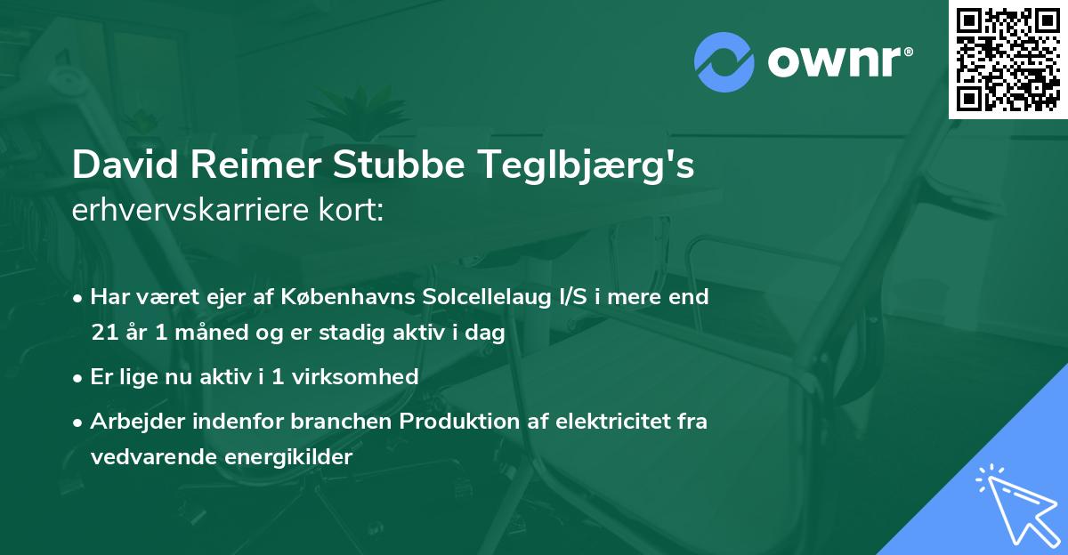 David Reimer Stubbe Teglbjærg's erhvervskarriere kort
