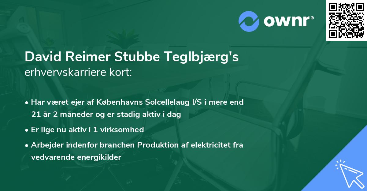 David Reimer Stubbe Teglbjærg's erhvervskarriere kort