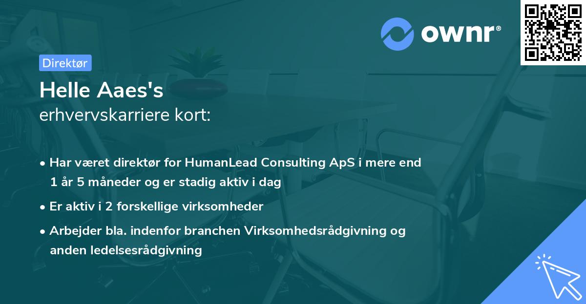 Helle Aaes's erhvervskarriere kort