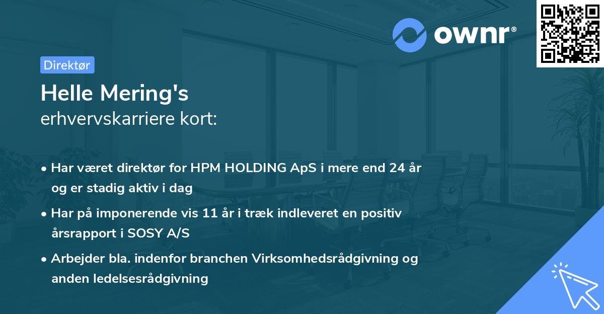 Helle Mering's erhvervskarriere kort