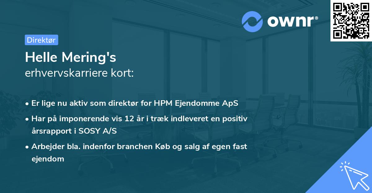 Helle Mering's erhvervskarriere kort