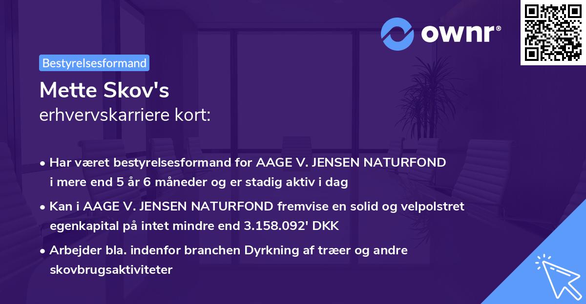 Mette Skov's erhvervskarriere kort