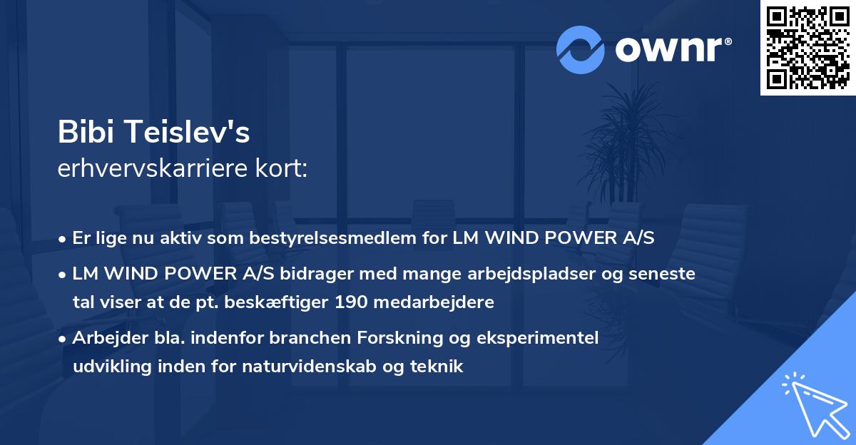 Bibi Teislev's erhvervskarriere kort