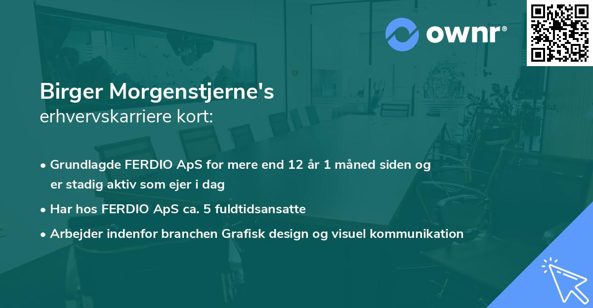 Birger Morgenstjerne's erhvervskarriere kort