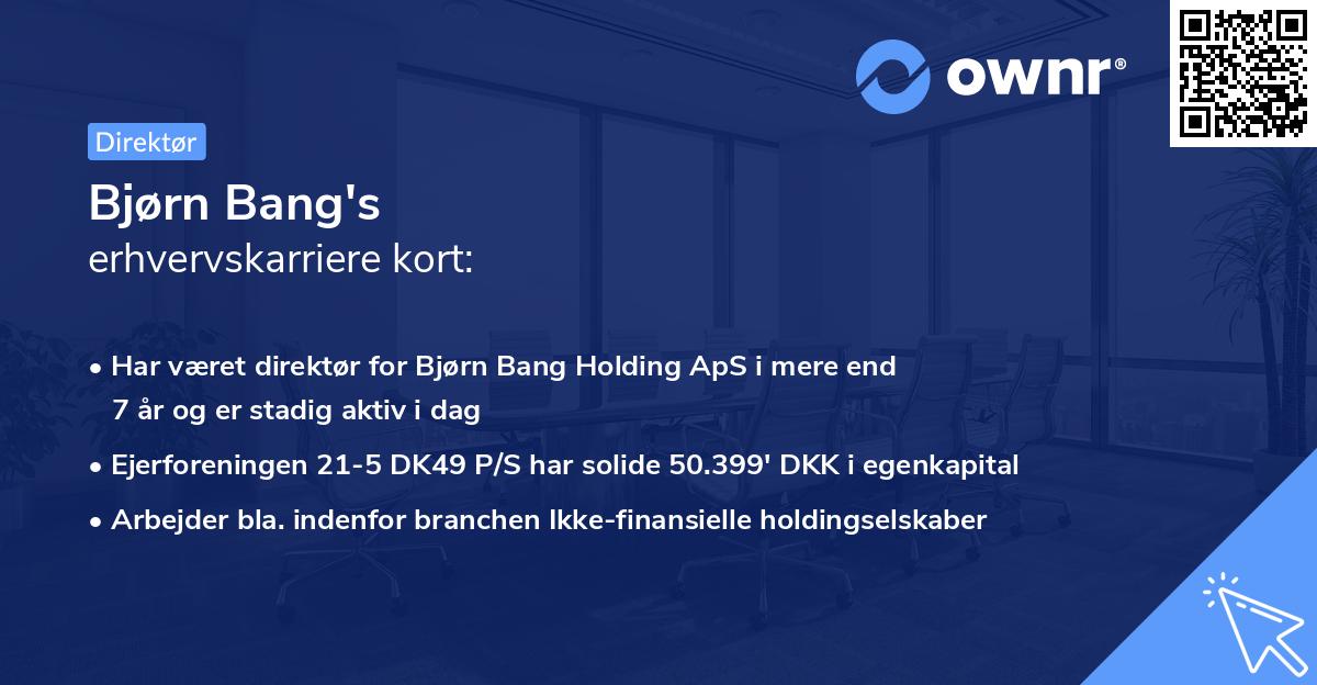 Bjørn Bang's erhvervskarriere kort