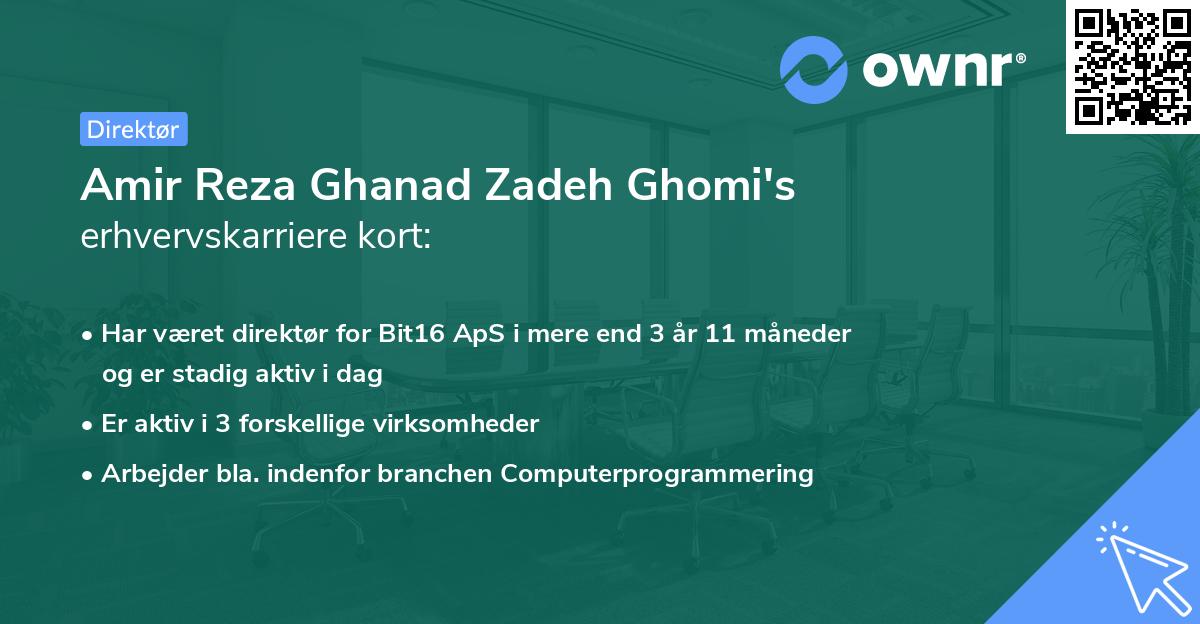 Amir Reza Ghanad Zadeh Ghomi's erhvervskarriere kort