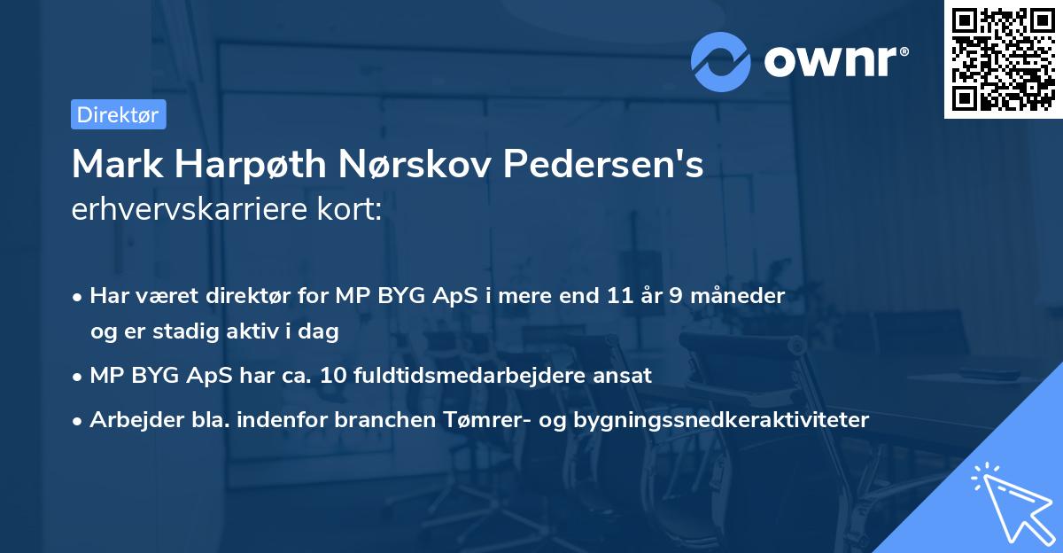 Mark Harpøth Nørskov Pedersen's erhvervskarriere kort