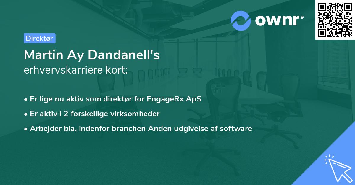 Martin Ay Dandanell's erhvervskarriere kort