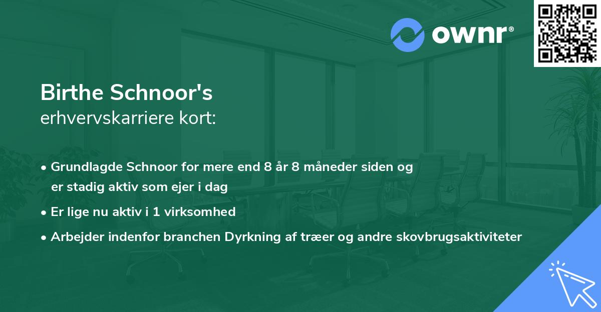 Birthe Schnoor's erhvervskarriere kort