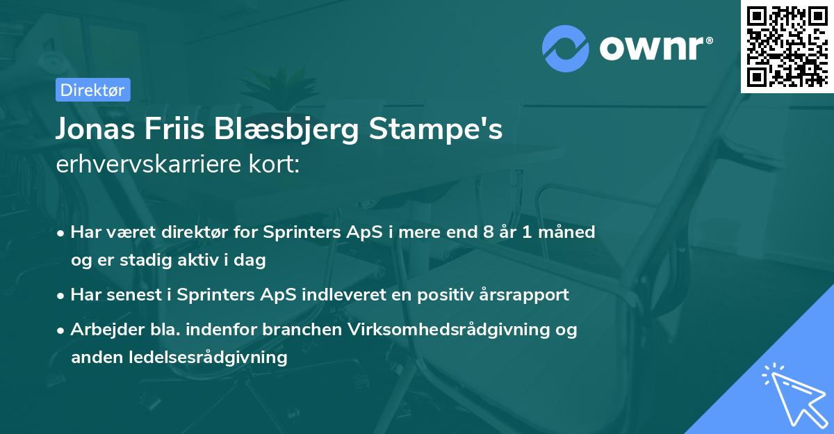 Jonas Friis Blæsbjerg Stampe's erhvervskarriere kort