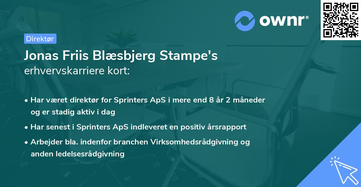 Jonas Friis Blæsbjerg Stampe's erhvervskarriere kort
