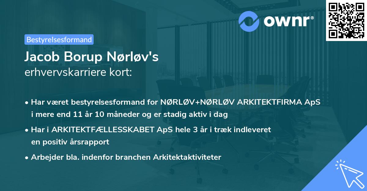 Jacob Borup Nørløv's erhvervskarriere kort