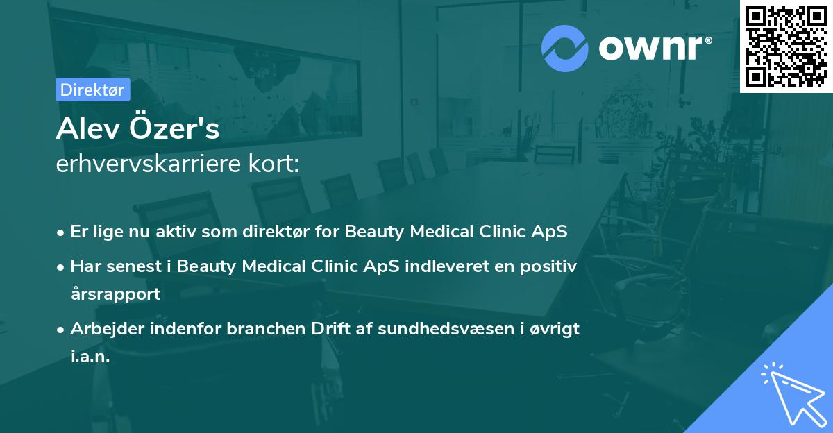 Alev Özer's erhvervskarriere kort