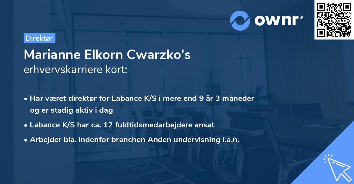 Marianne Elkorn Cwarzko's erhvervskarriere kort