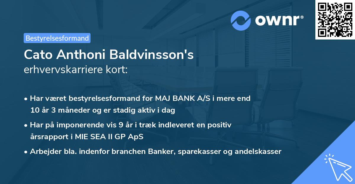 Cato Anthoni Baldvinsson's erhvervskarriere kort